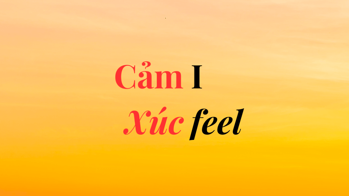 Sacral Chakra – Luân xa Tình dục và sáng&nbsp;tạo